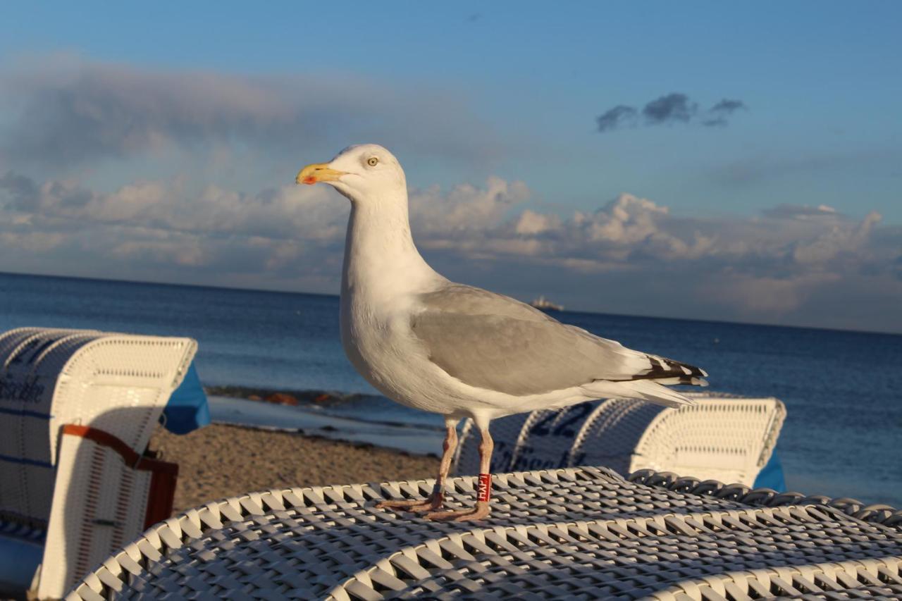 Ferienwohnungen Im Haus Strandburg Grömitz Екстериор снимка